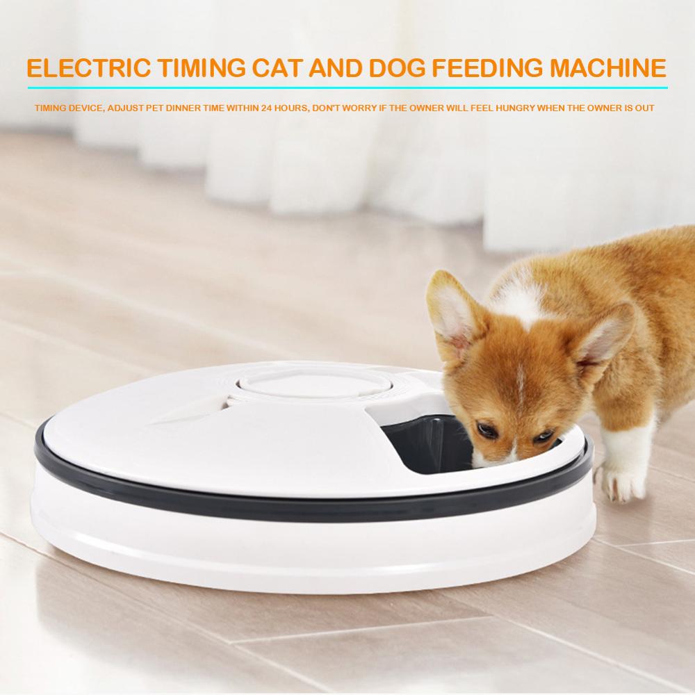 automatic pet feeder