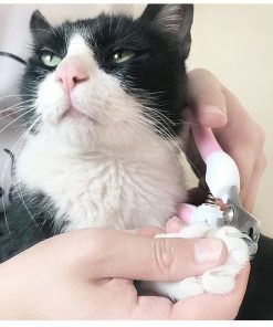 Cat nail clippers for cats