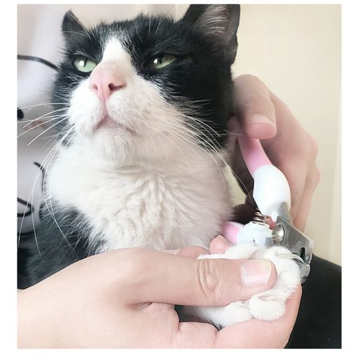 Cat nail clippers for cats