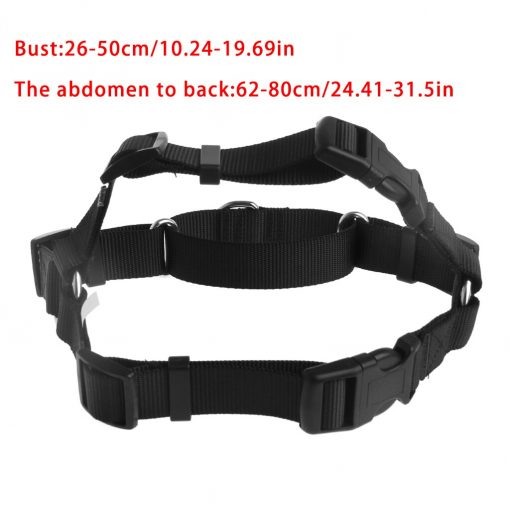 Easy Walk Harness guider 3