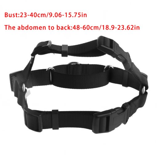 Easy Walk Harness guider 2