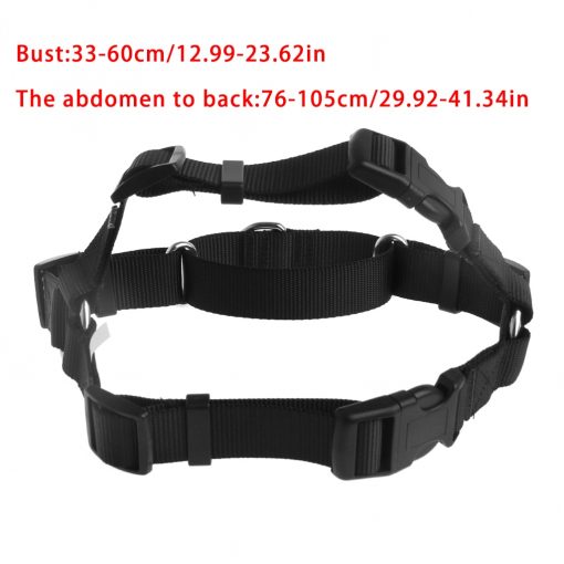 Easy Walk Harness guider 4