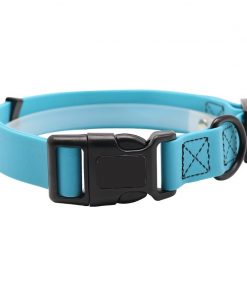 martingale collar blue color 2