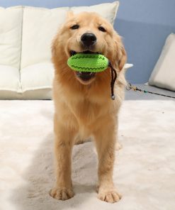 Busy Buddy