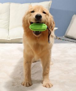 Indestructible dog toys show