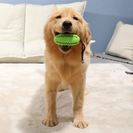 Indestructible dog toys show