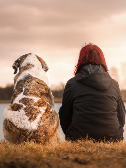 Friend with pet