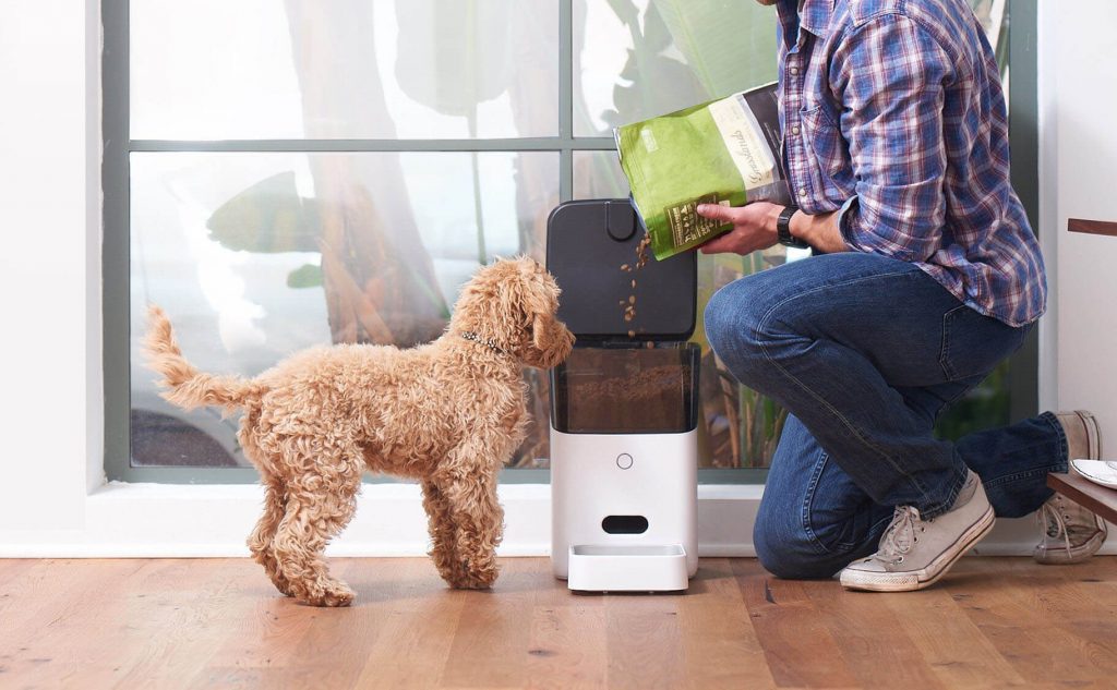 best_smart_pet_feeder