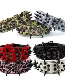 Spiked dog collars