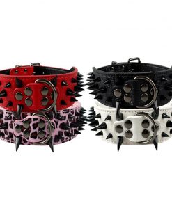 Spiked dog collars