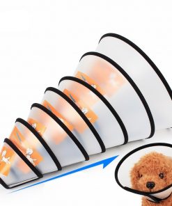 dog cone