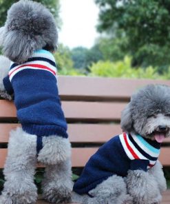 dog sweaters dog show 4