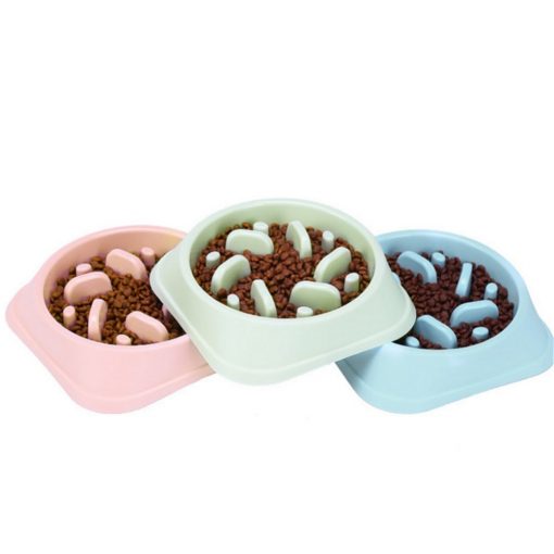 slow feeder dog bowl