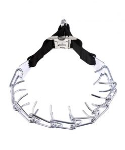 dog prong collar detail show