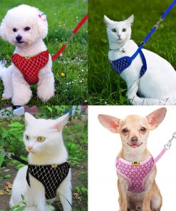 Mesh Cat Harness show