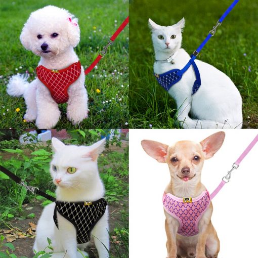 Mesh Cat Harness show