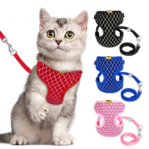 Mesh Cat Harness and Leash Set