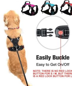 No pull dog harness easy buckle