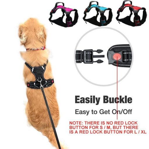 No pull dog harness easy buckle