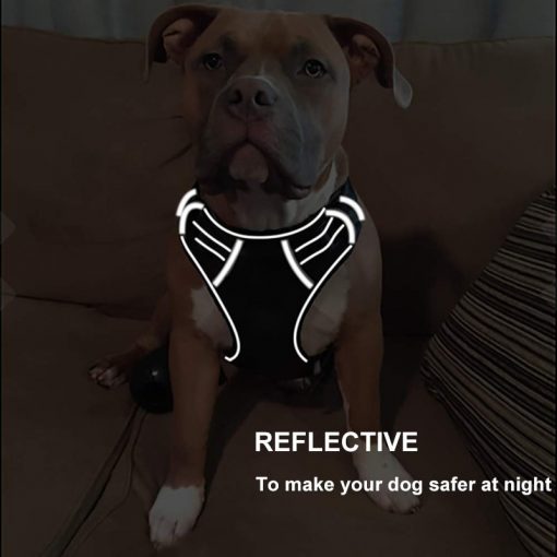 No pull dog harness reflective