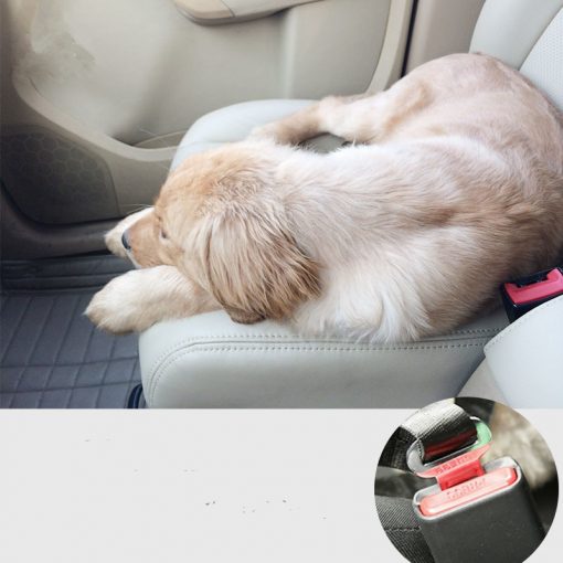 Dog Car harness display