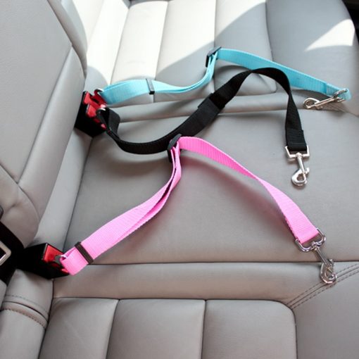 Dog Car harness