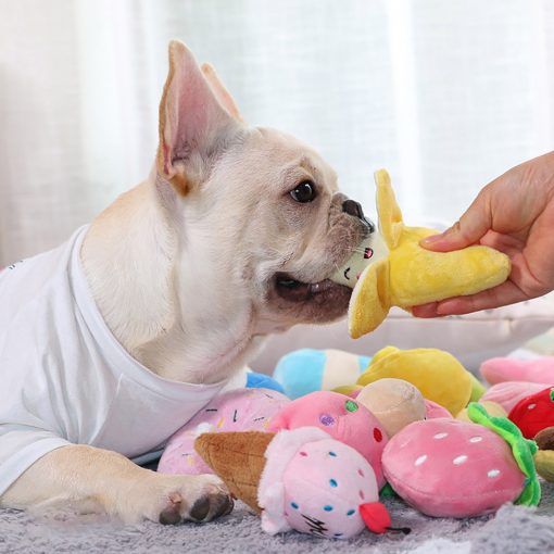 Dog squeaky toy happy dog