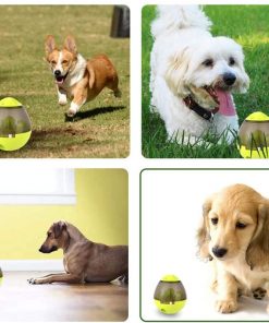 interactive dog toys dog puzzle toys with pet