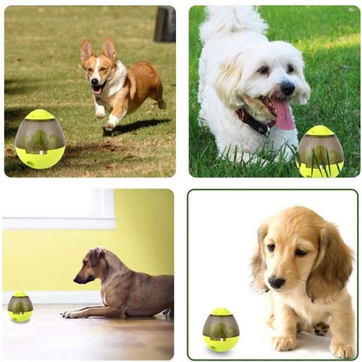 interactive dog toys dog puzzle toys with pet