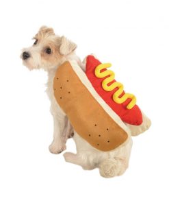 Hot dog costume on dog