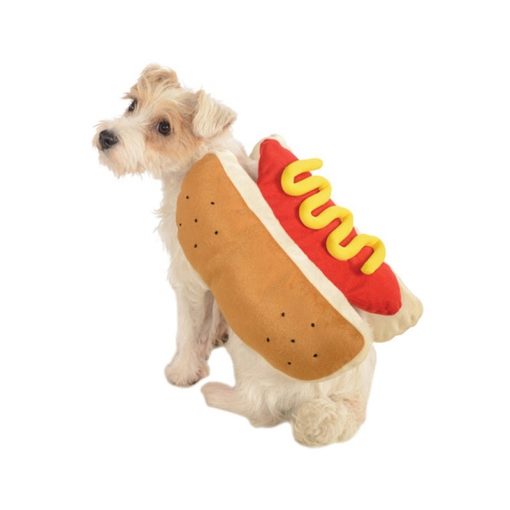Hot dog costume on dog