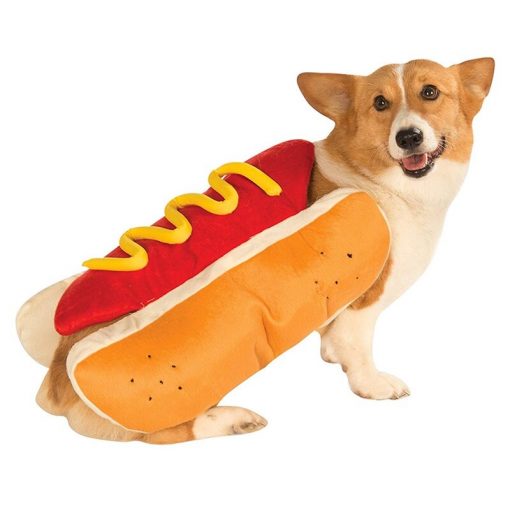 Hot dog costume with dog 2