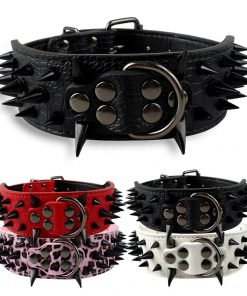 Spiked dog collars