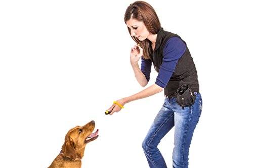 Dog Obedience Training